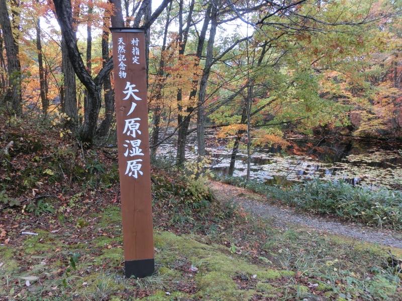 奥会津　昭和村　紅葉　イチョウ　小学校　喰丸　まつり　滝　スポット